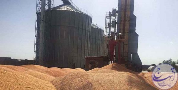 کلاهبرداری میلیاردی با فروش شن و ماسه به جای گندم در خراسان شمالی