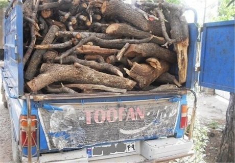 تشکیل ۹۷ پرونده قاچاق چوب و زغال بلوط در شهرستان لردگان