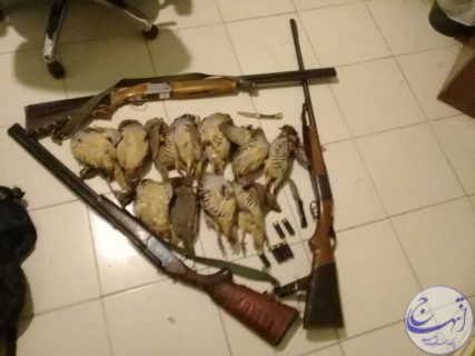 دستگیری پنج شکارچی متخلف در تایباد