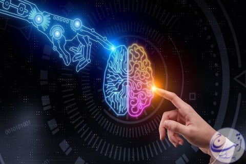 فعالیت ۱۱۷ شرکت نوپای فناور در آذربایجانشرقی