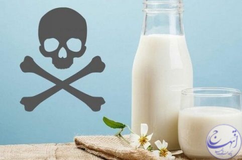 افلاتوکسین شیر خام تولید شده در آذربایجان‌شرقی در حد مجاز است