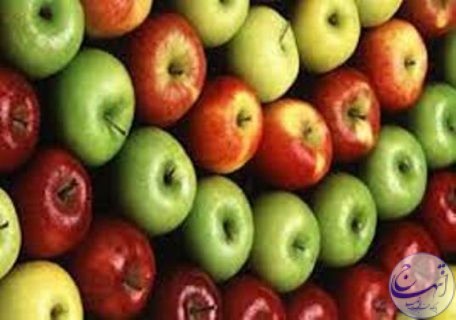 آذربایجان غربی استان معین برای تأمین سیب شب عید ۱۲ استان