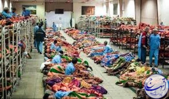 ایجاد پنج گرمخانه مطابق استاندارد جهانی در تهران ایجاد پنج گرمخانه مطابق استاندارد جهانی در تهران