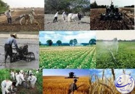 بهره برداری از ۴۳ پروژه کشاورزی استان خراسان شمالی در دهه فجر