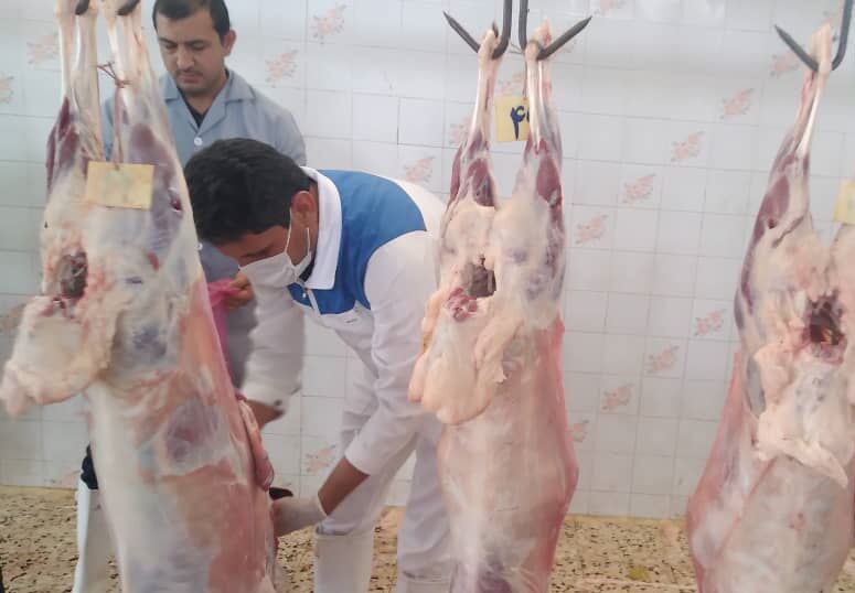 نظارت دامپزشکی خراسانشمالی بر ذبح دام در ایام محرم تشدید شد