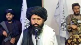 طالبان: اگر آبادی و تمدن میخواستیم، اسامه بنلادن را به امریکا میدادیم طالبان: اگر آبادی و تمدن میخواستیم، اسامه بنلادن را به امریکا میدادیم