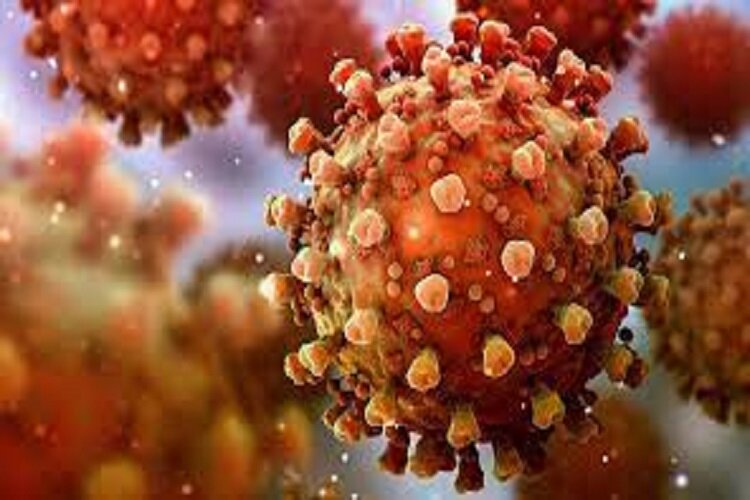 آماده باش بیمارستان های خراسان شمالی برای مقابله با سویه جدید کرونا