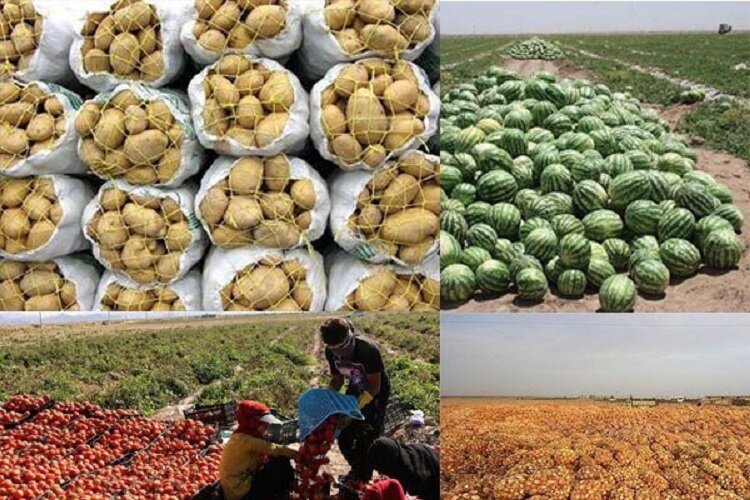 صادرات محصولات کشاورزی از خراسان شمالی با مشکل حمل و نقل مواجه است