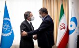 جامعه اطلاعاتی آمریکا: ایران خواستار حل و فصل مسائل پادمانی به عنوان یکی از شروط اصلی برای احیای توافق هستهای شده