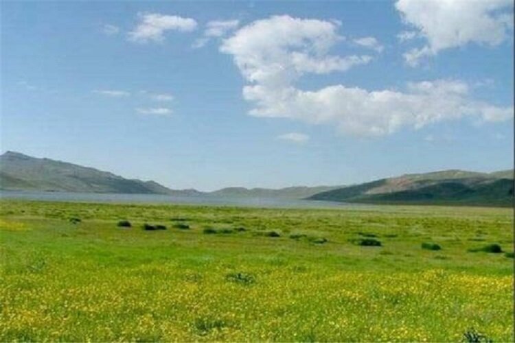 تهیه طرح مرتعداری در سطح ۸۸۸ هزار هکتار از مراتع خراسان شمالی