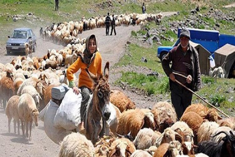آغاز کوچ عشایر خراسان شمالی از مناطق قشلاقی