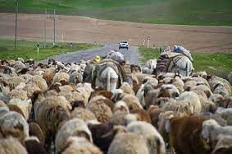 ۳۰ درصد از ایلراه های عشایر خراسان شمالی تصرف شده است