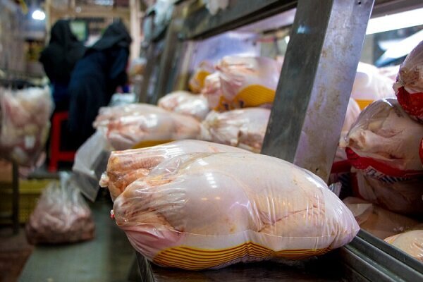 آخرین وضعیت توزیع گوشت مرغ در بازار خراسان شمالی