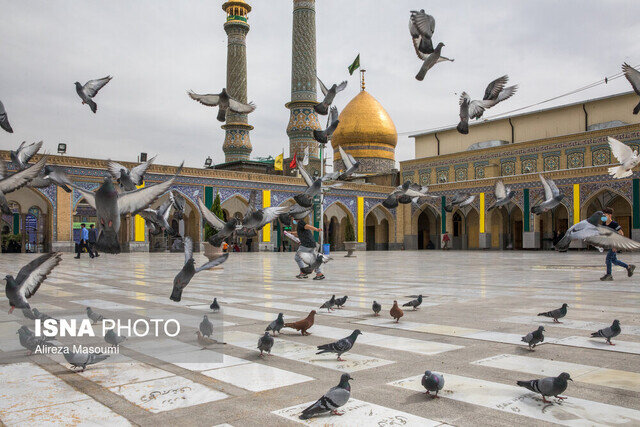 مقام حضرت عبدالعظیم (ع) نزد اهلبیت (علیهمالسلام)