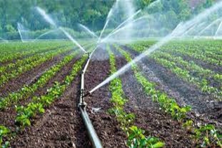 تامین آب ۲۲ هزار هکتار زمین کشاورزی از طریق سدهای خراسان شمالی