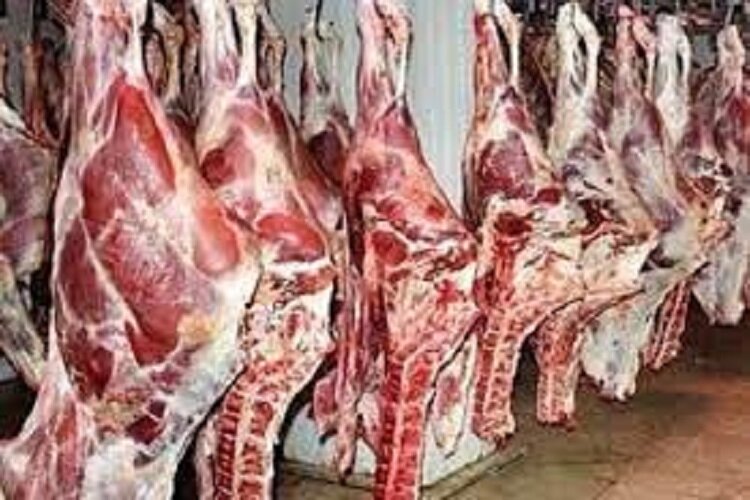  ۳۰ هزار راس دام عشایر خراسان‌ شمالی زیر پوشش طرح قراردادی دام 