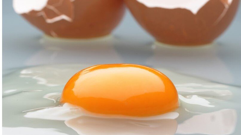 تخممرغ مانع تحلیل عضلات و عارضه زوال مغزی در کهنسالی میشود تخممرغ مانع تحلیل عضلات و عارضه زوال مغزی در کهنسالی میشود