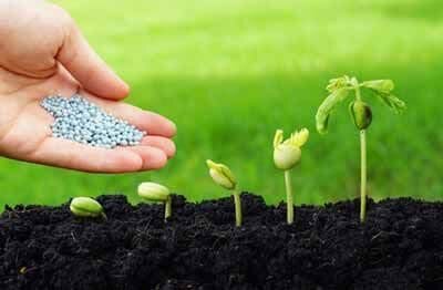 توزیع ۹۵۰۰ تن انواع کودهای یارانه‌ای در استان یزد