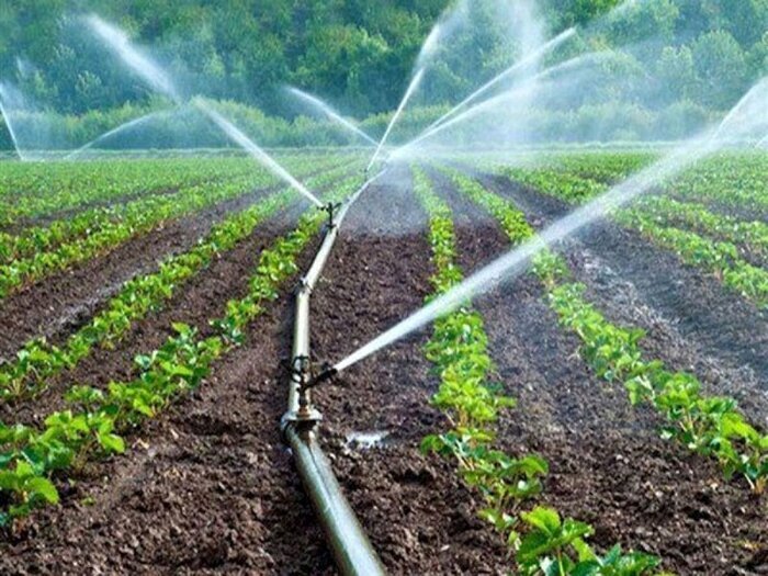 ارتقای راندمان مصرف آب کشاورزی در خراسان شمالی تا ۴۶.۶ درصد