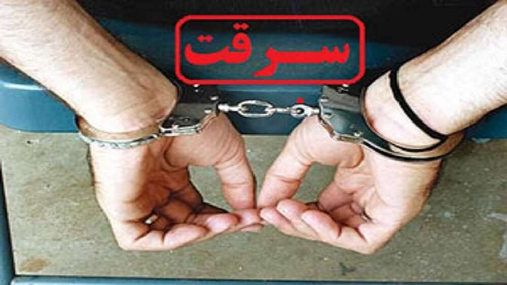 کاهش ۱۰ درصدی سرقت ها در جاجرم