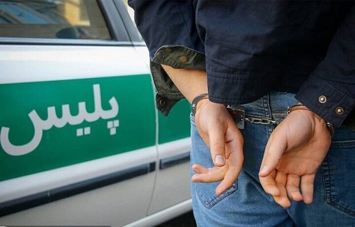 کشف ۱۱۲ فقره سرقت در نیمه اول آذر ماه امسال در خراسان شمالی