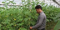 اجرای ۸۱۰ طرح اشتغال در خراسان شمالی اجرای ۸۱۰ طرح اشتغال در خراسان شمالی