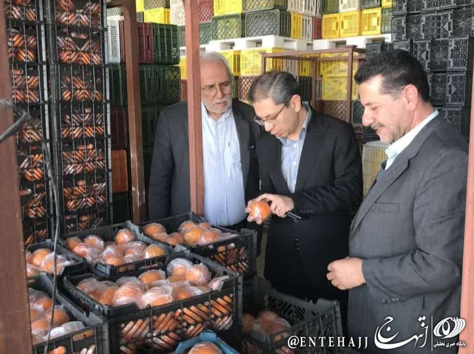 بازدید سرپرست دفتر هماهنگی امور اقتصادی از سردخانه ذخیره سازی میوه تنظیم بازار بازدید سرپرست دفتر هماهنگی امور اقتصادی از سردخانه ذخیره سازی میوه تنظیم بازار